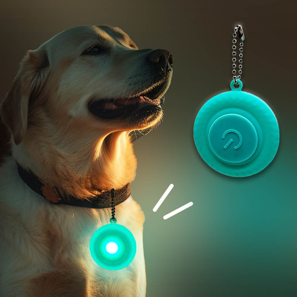 LED Mild Anti-Misplaced Outside Canine Strolling Collar Pendant - Pet Accent