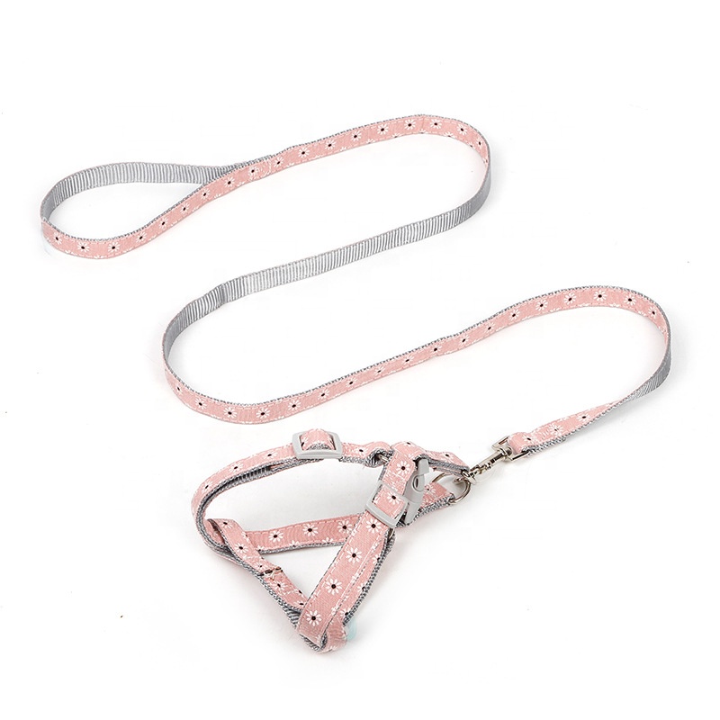 Wholesale Nylon Pet Collars and Leashes for Canine - Customized Equipment at Nice Costs