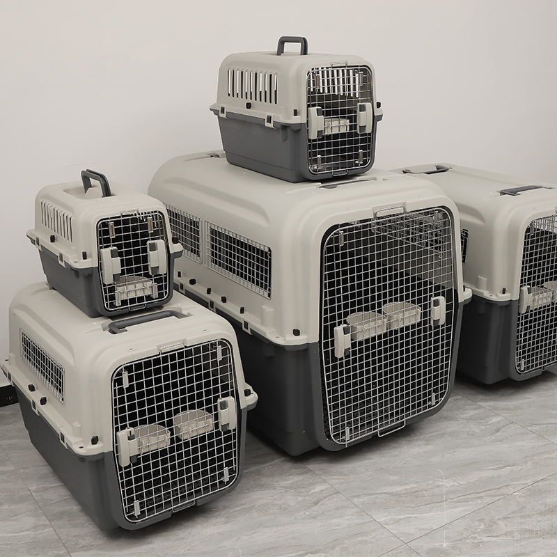 XXL Airline-Permitted Plastic Pet Service for Canines – Journey Cage with Wheels and Water Bowl