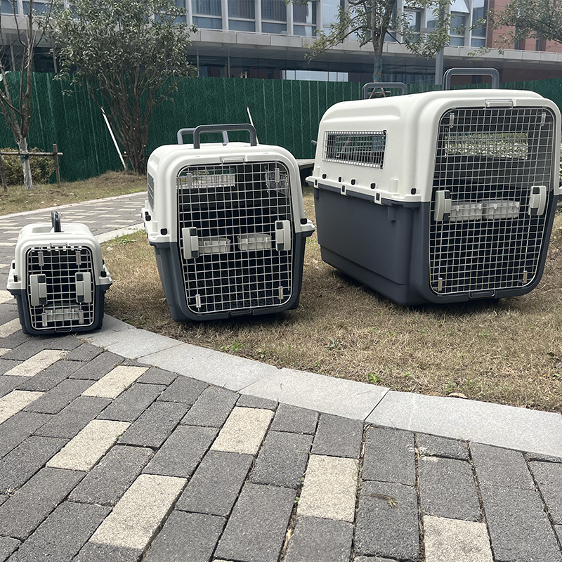 XXL Airline-Permitted Plastic Pet Service for Canines - Journey Cage with Wheels and Water Bowl